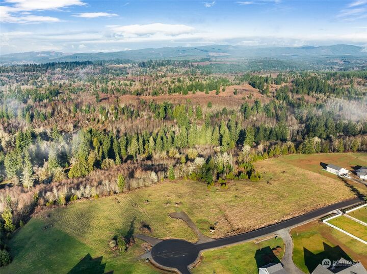 228  Birchfield Commons  Onalaska WA 98570 photo