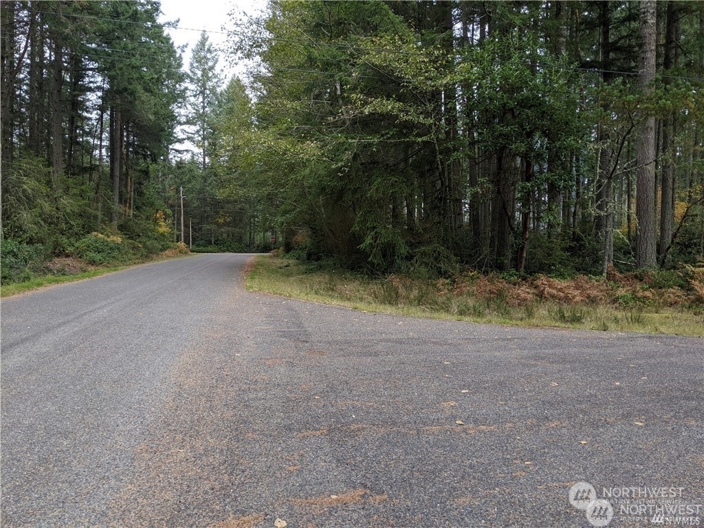 12123  Sunset Place  Anderson Island WA 98303 photo