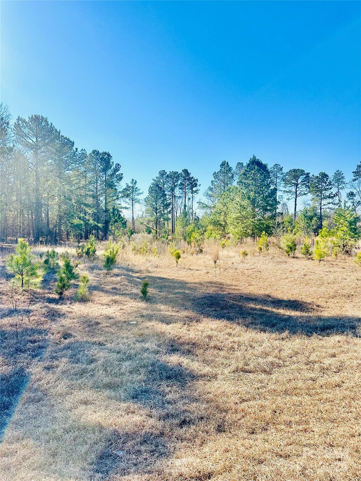 Property Photo: 2361 Mill Creek Road SC 29009