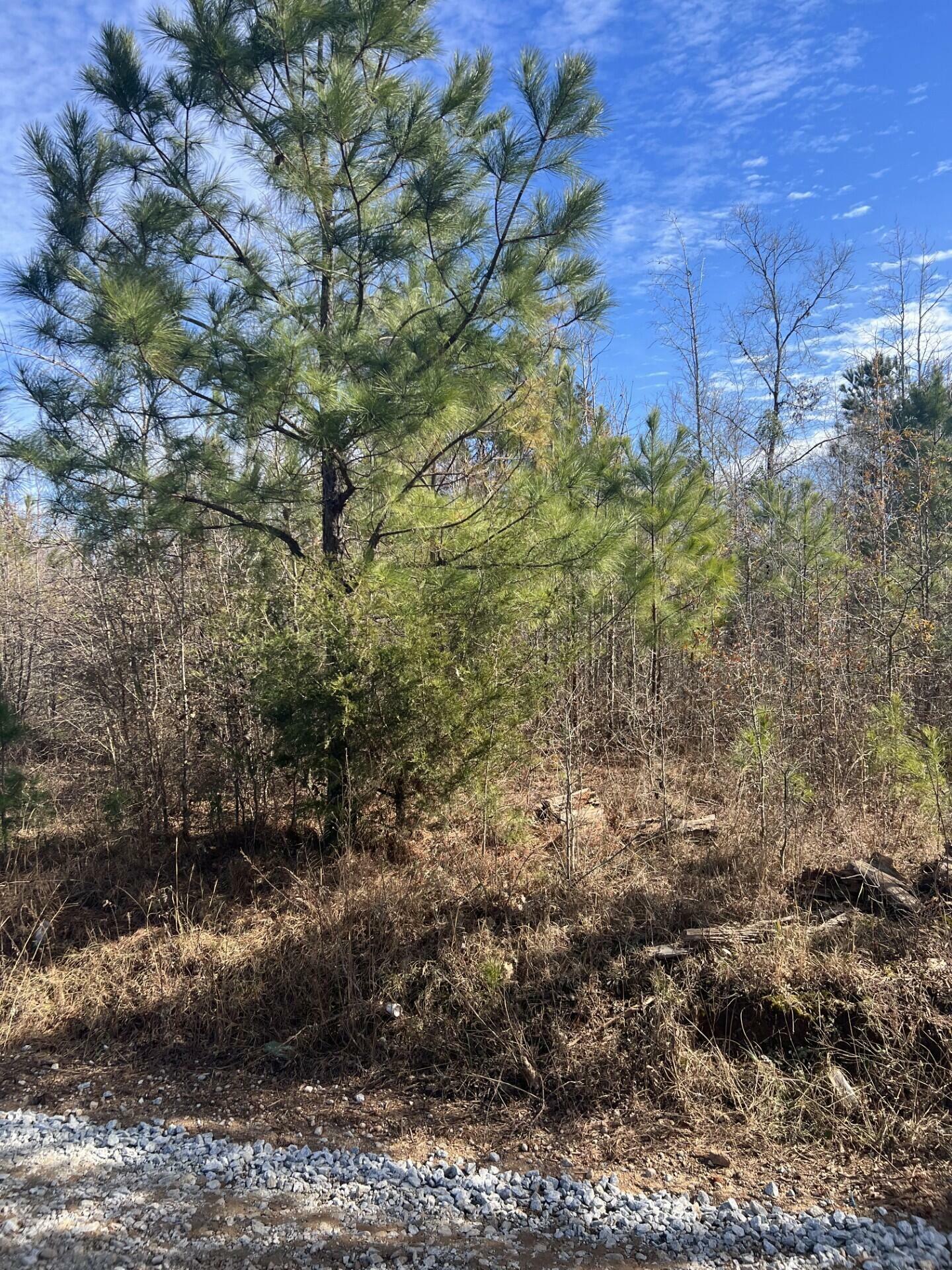 Property Photo:  0 Clanton Road  GA 30809 