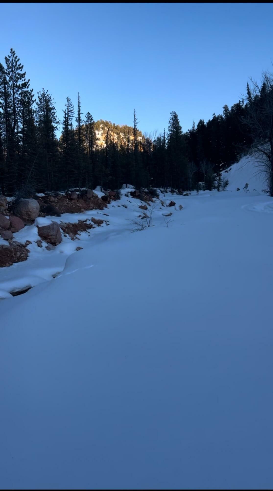 Cedar Mountain Ashdown Gorge  Cedar City UT 84720 photo