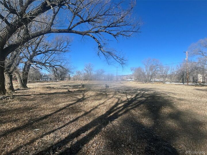 Property Photo:  Highway 285  CO 81149 