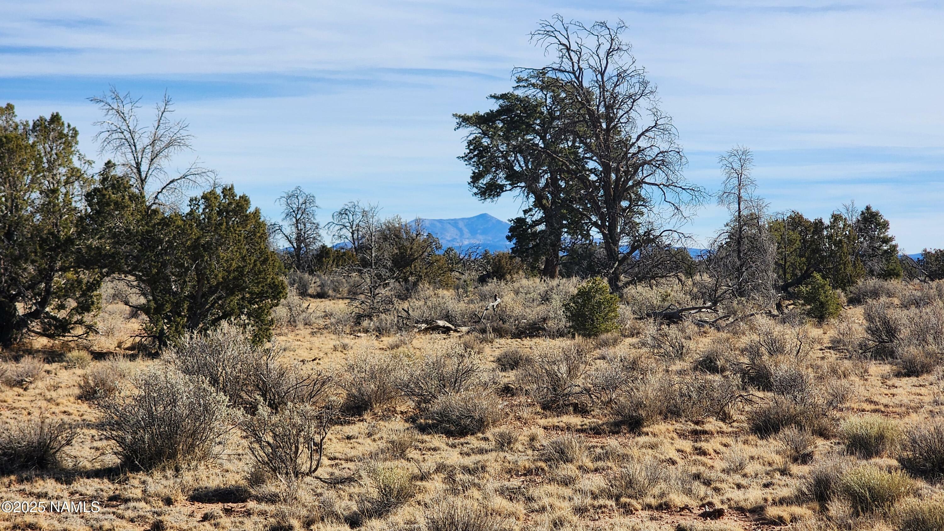 Property Photo:  5373 Red Butte Road  AZ 86046 