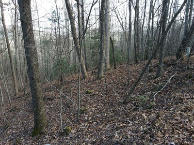 Property Photo:  Lot20 Settlers Cove  GA 30512 