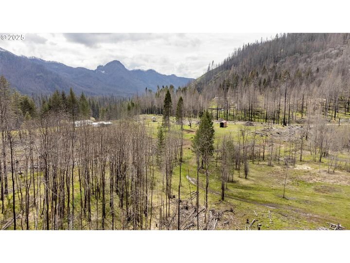Property Photo: 91737 Blue River Reservoir Rd OR 97413