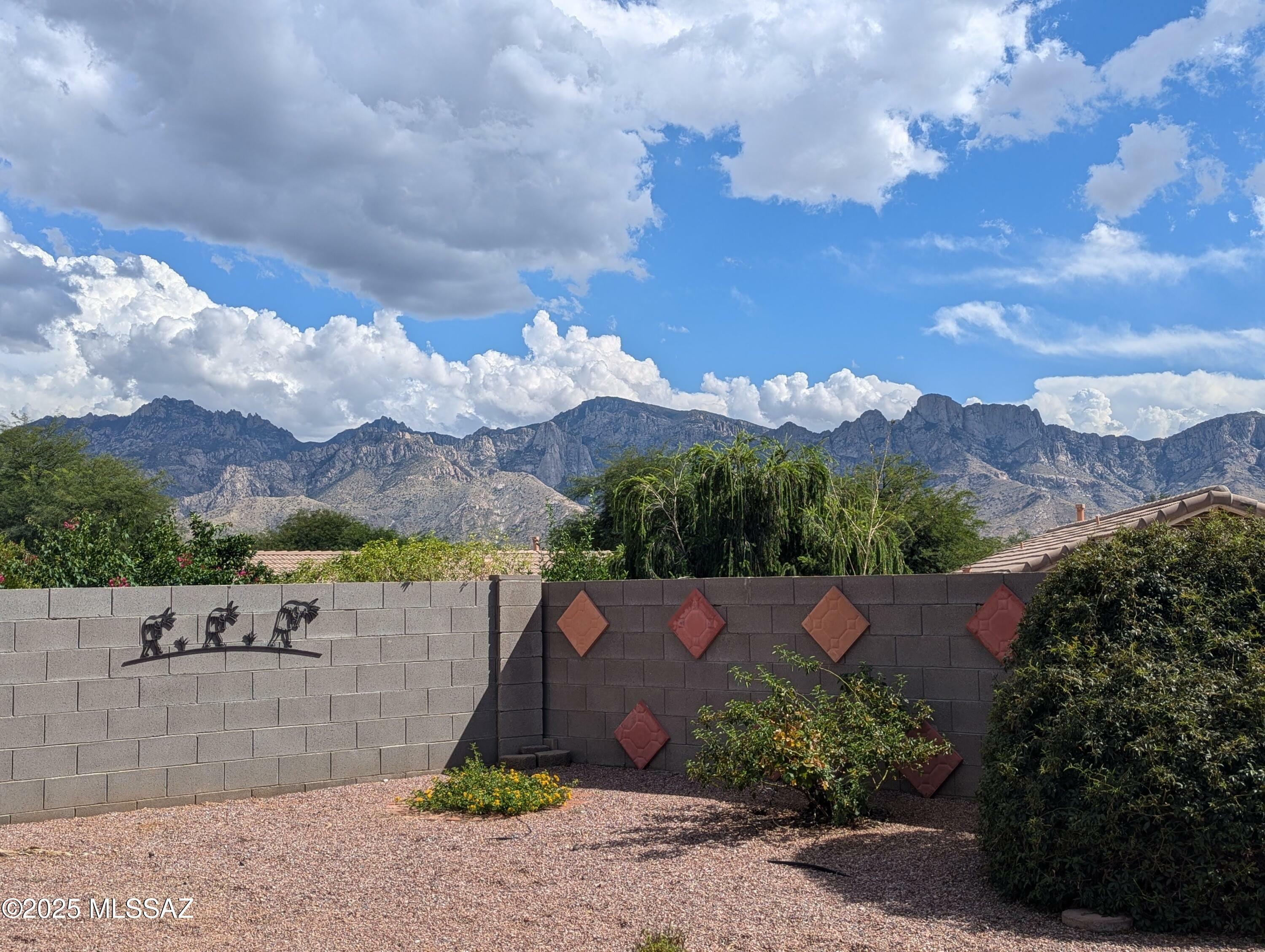 Property Photo:  2318 E Precious Shard Court  AZ 85755 