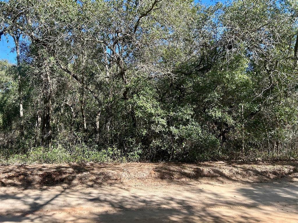 Property Photo:  7063 Gatorbone Road  FL 32656 