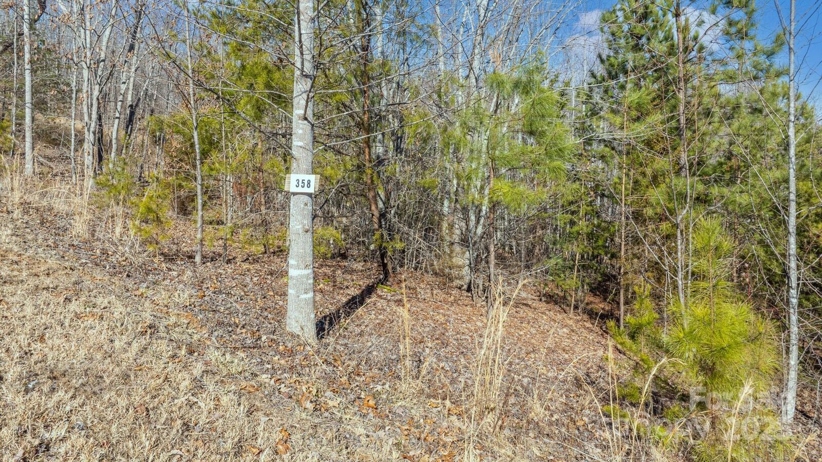 Property Photo: Tbd Coal Pit Mountain Road NC 28761