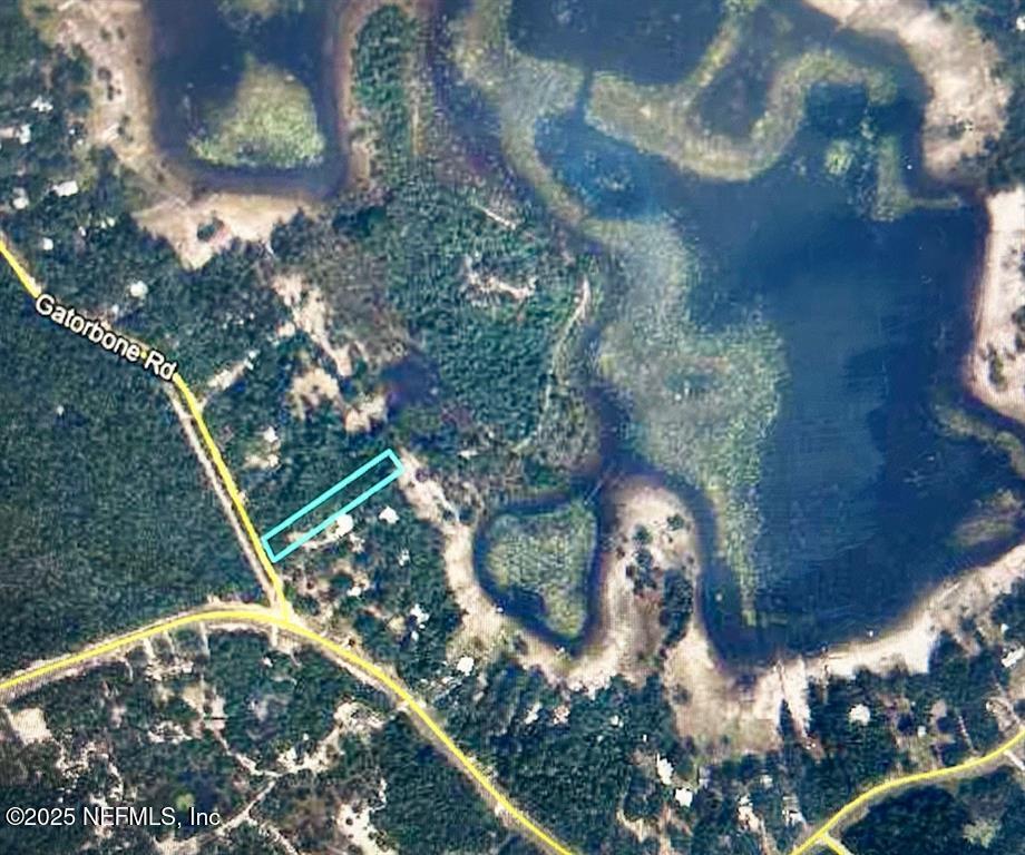 Property Photo:  7063 Gatorbone Road  FL 32656 