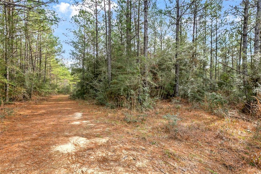 Property Photo:  Lot 30 Erin Lane  LA 70438 