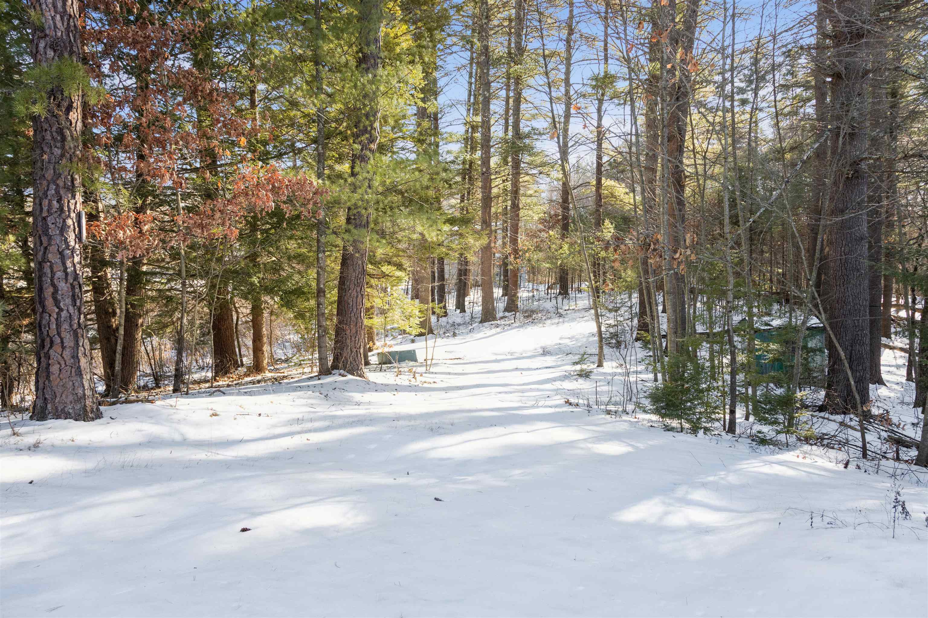 Property Photo:  186 Naticook Road  NH 03054 