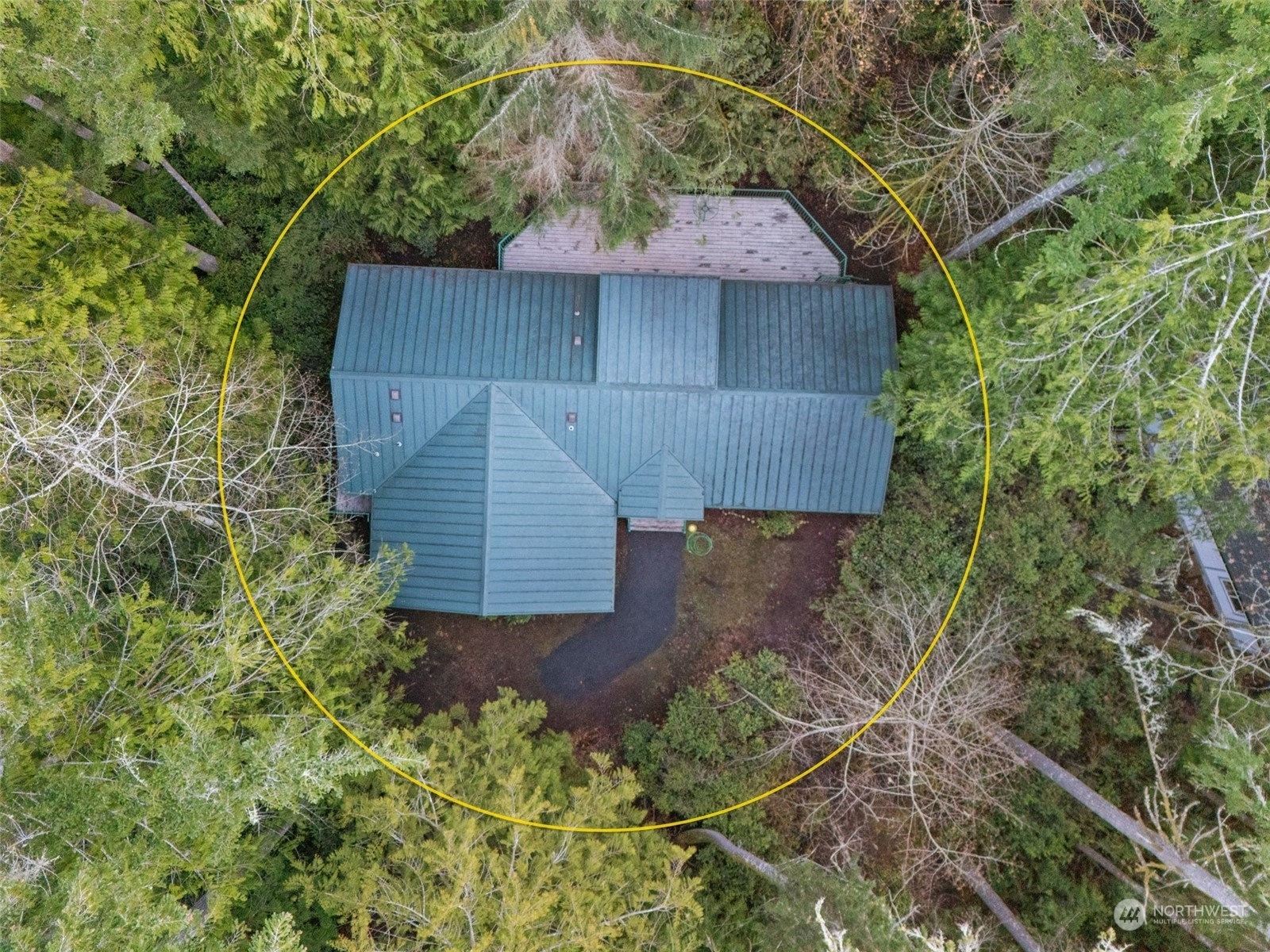 Property Photo:  633 E Pitcairn Avenue Pl  WA 98584 