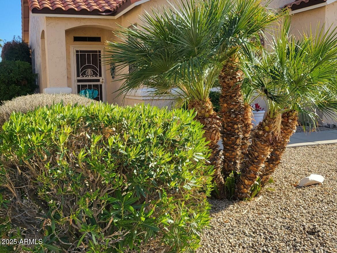 Property Photo:  17449 N Fairway Drive  AZ 85374 