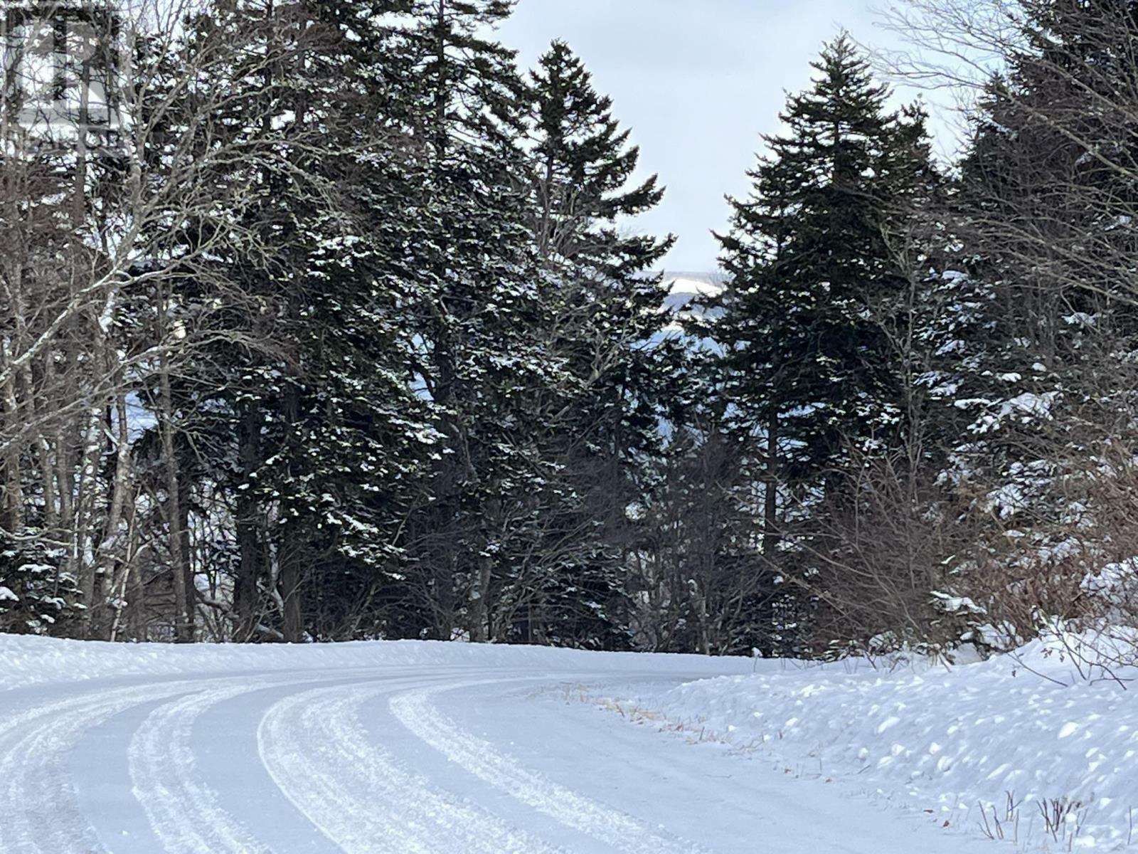 Property Photo:  100 Acres Spencers Beach (Hwy 209) Road  NS B0M 1S0 