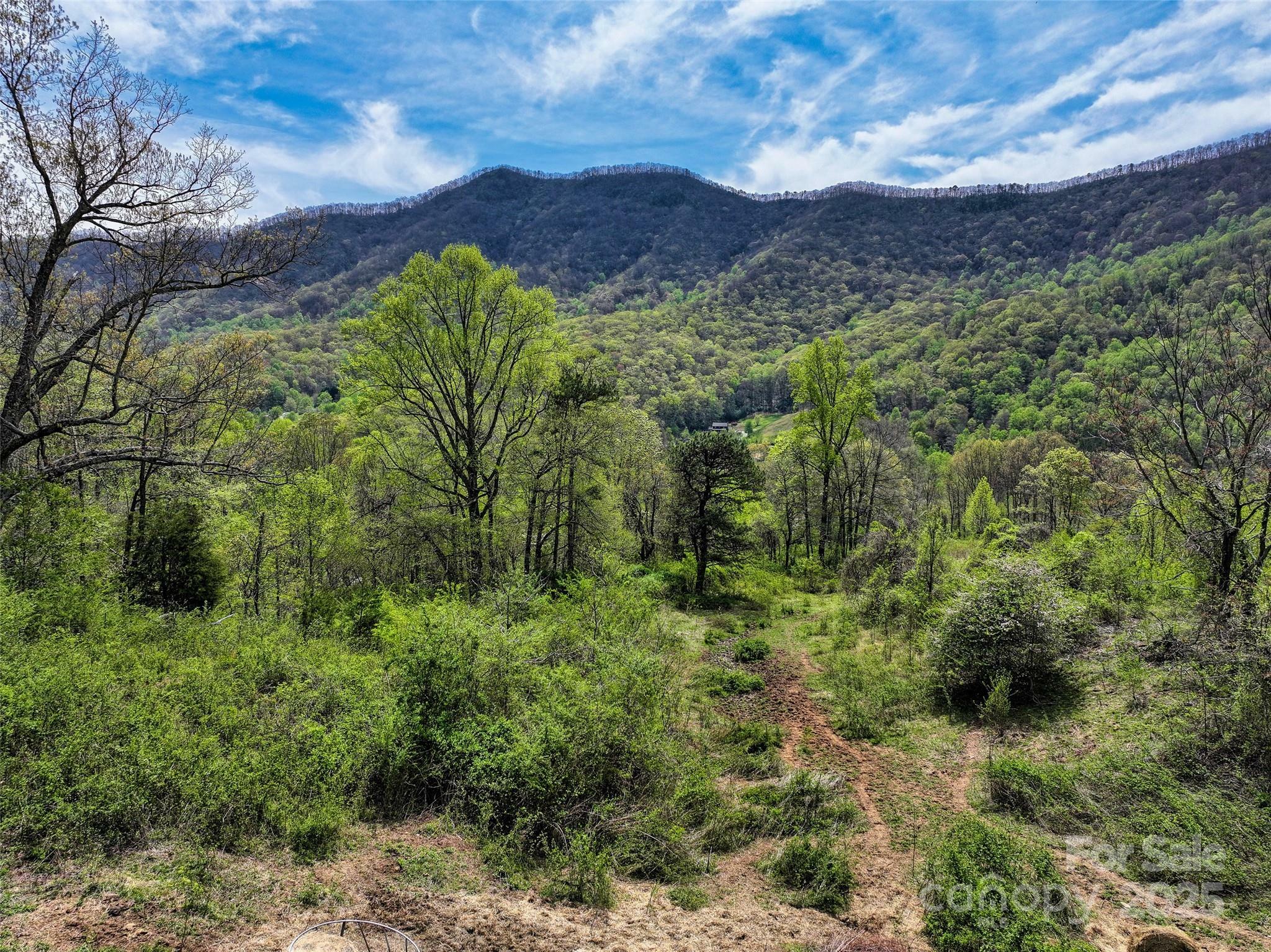 Property Photo: 1567 Newfound Road NC 28748