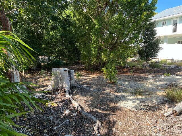 Property Photo:  148 Tequesta Street  FL 33070 