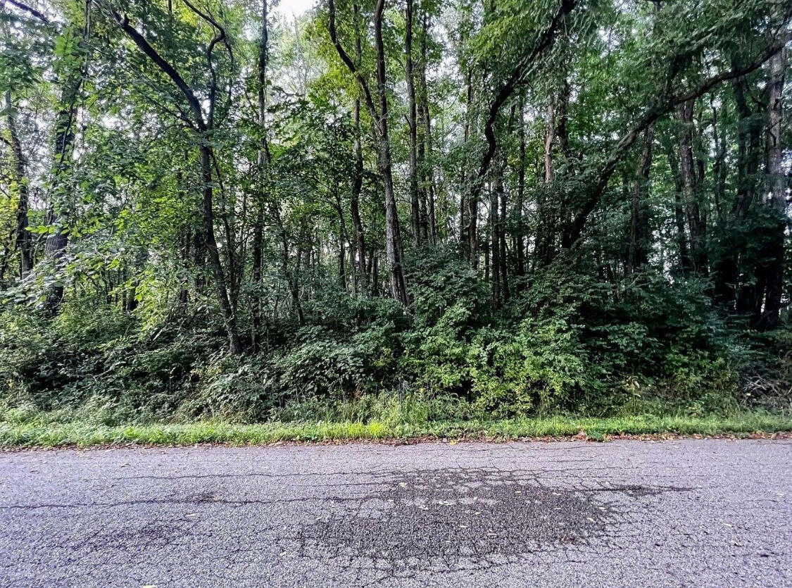 1511 Parkside Lane  Niles MI 49120 photo