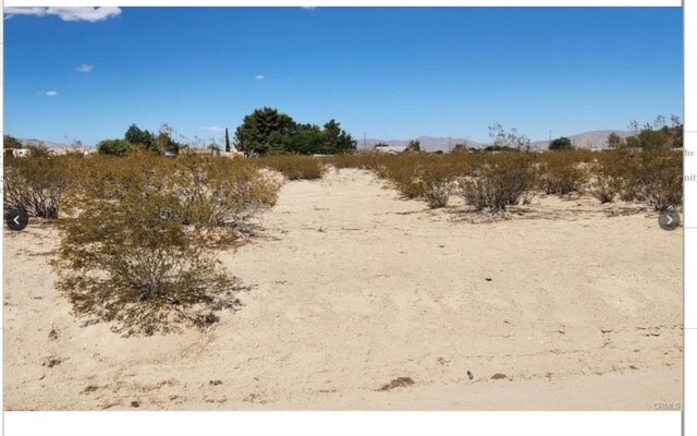Property Photo:  0 Palomar Avenue  CA 92356 