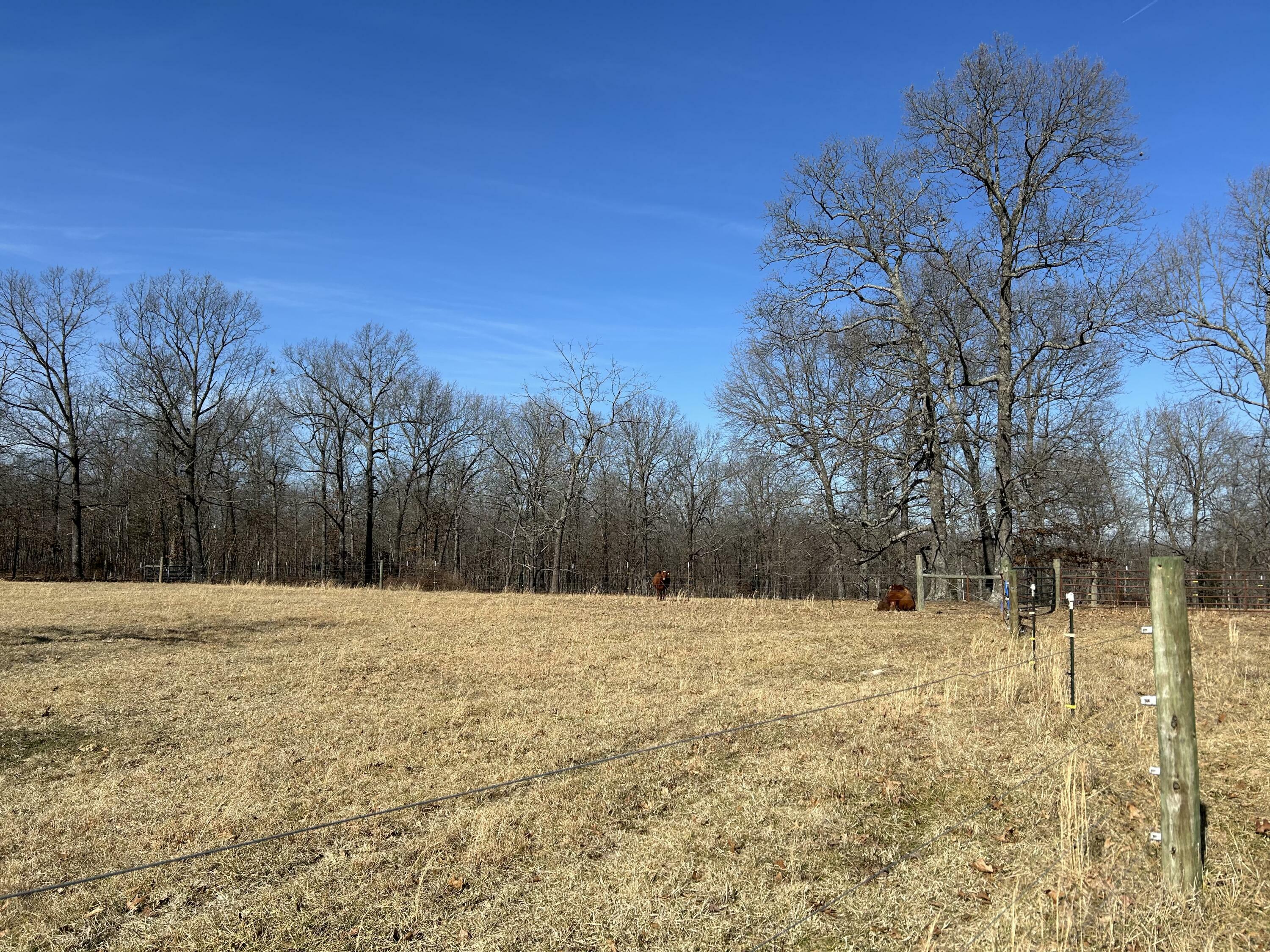 Property Photo: 7738 P Highway MO 65692