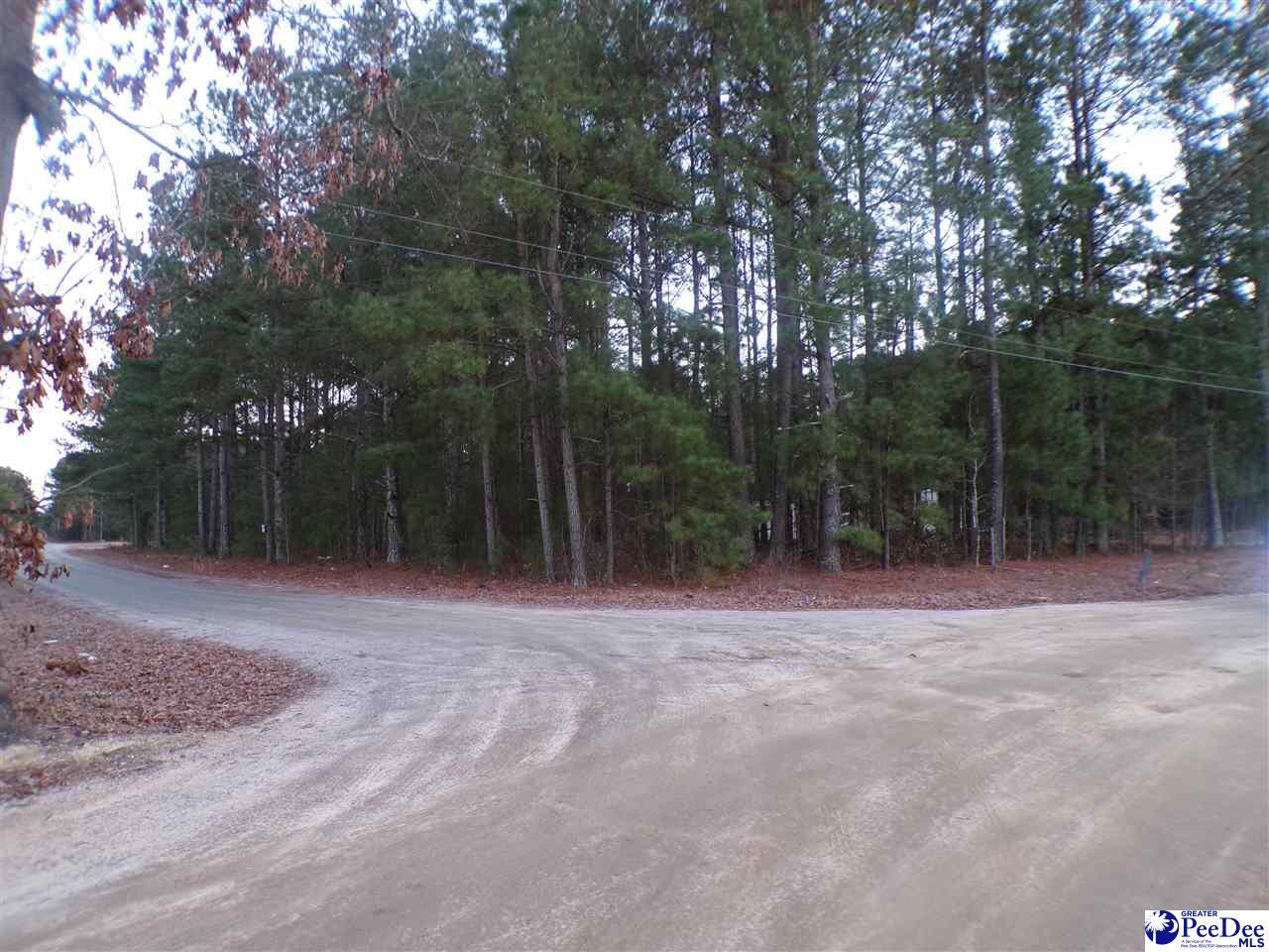 Property Photo: Tbd New Holly &Amp Millwood SC 29536