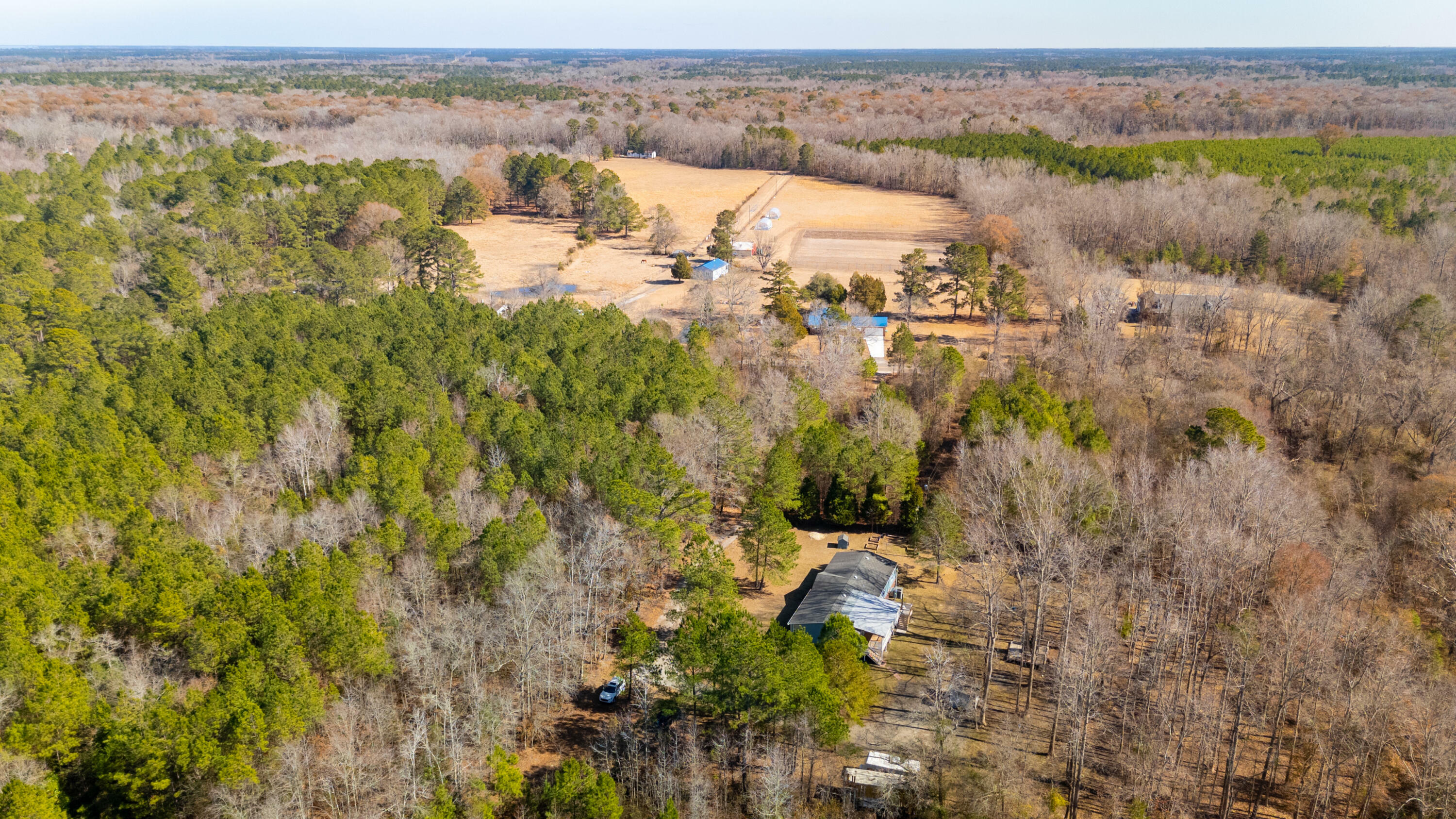 Property Photo:  1455 Calamus Pond Road  SC 29486 