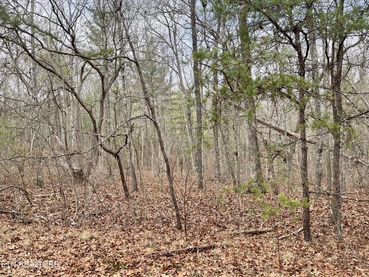 15 Glencove Court  Crossville TN 38558 photo