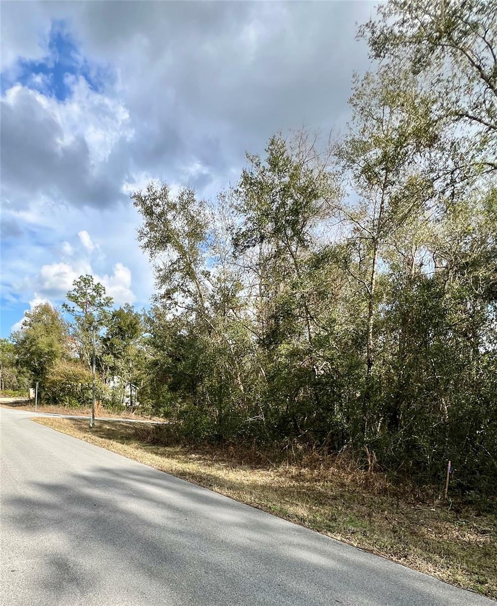 Property Photo: Smallman Street FL 33597