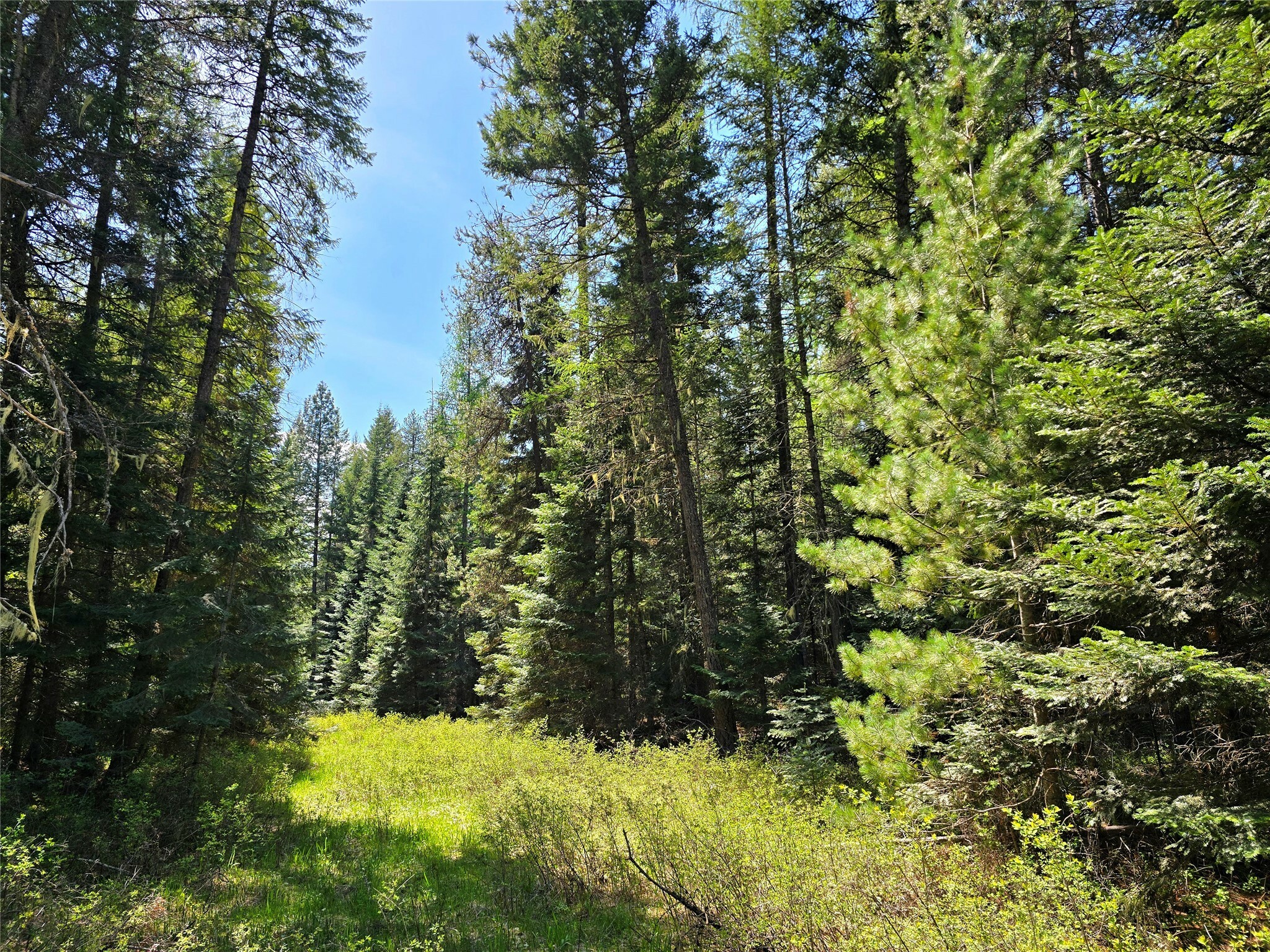 Property Photo: Lot 2 Bayside Lane MT 59874
