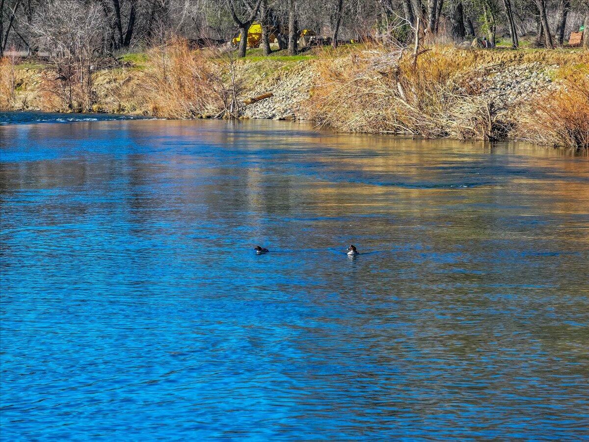 Property Photo:  9422 Silver Bridge Road  CA 96017 