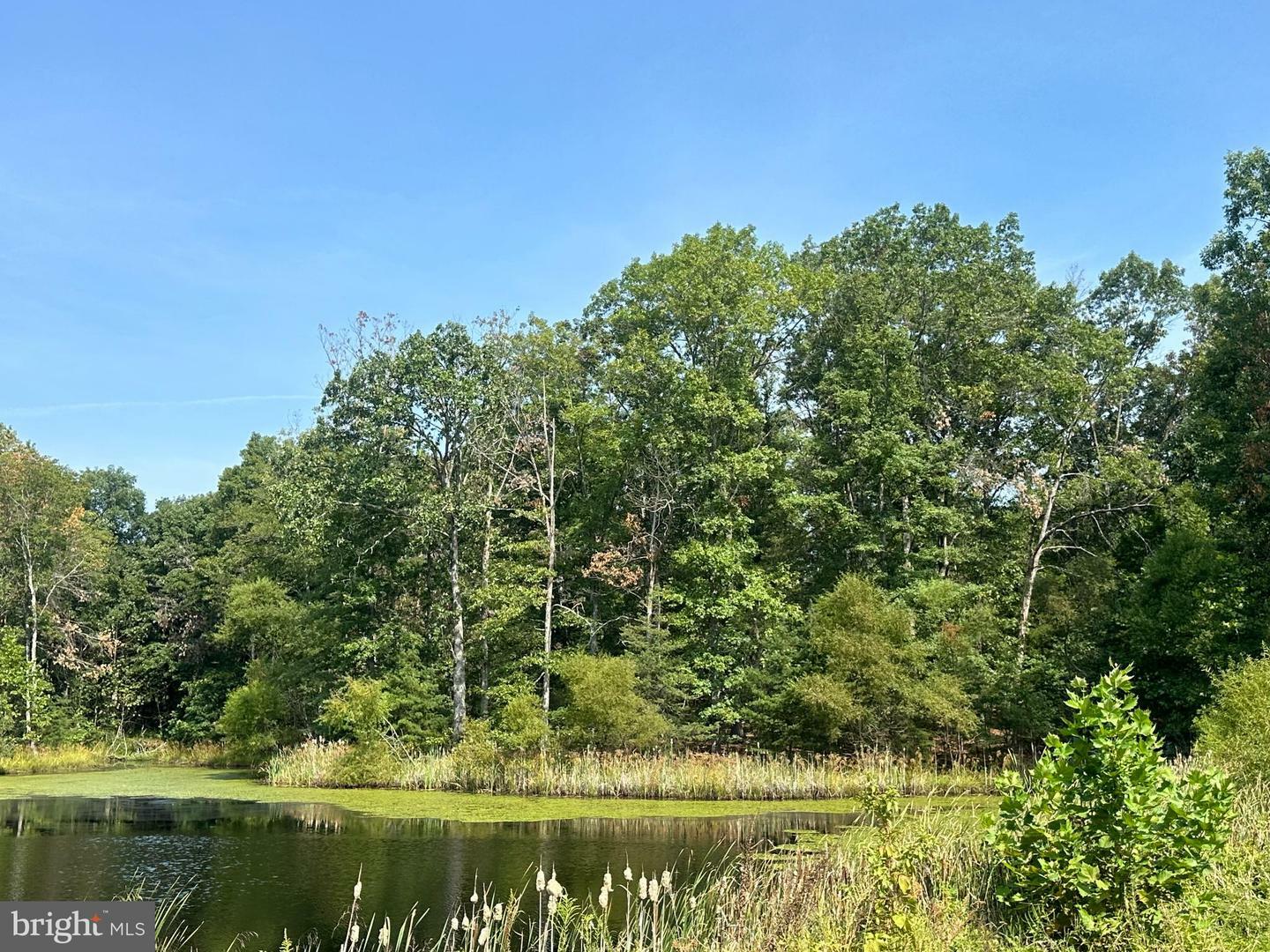 Property Photo: Springwood Lane Lot 20 VA 22655