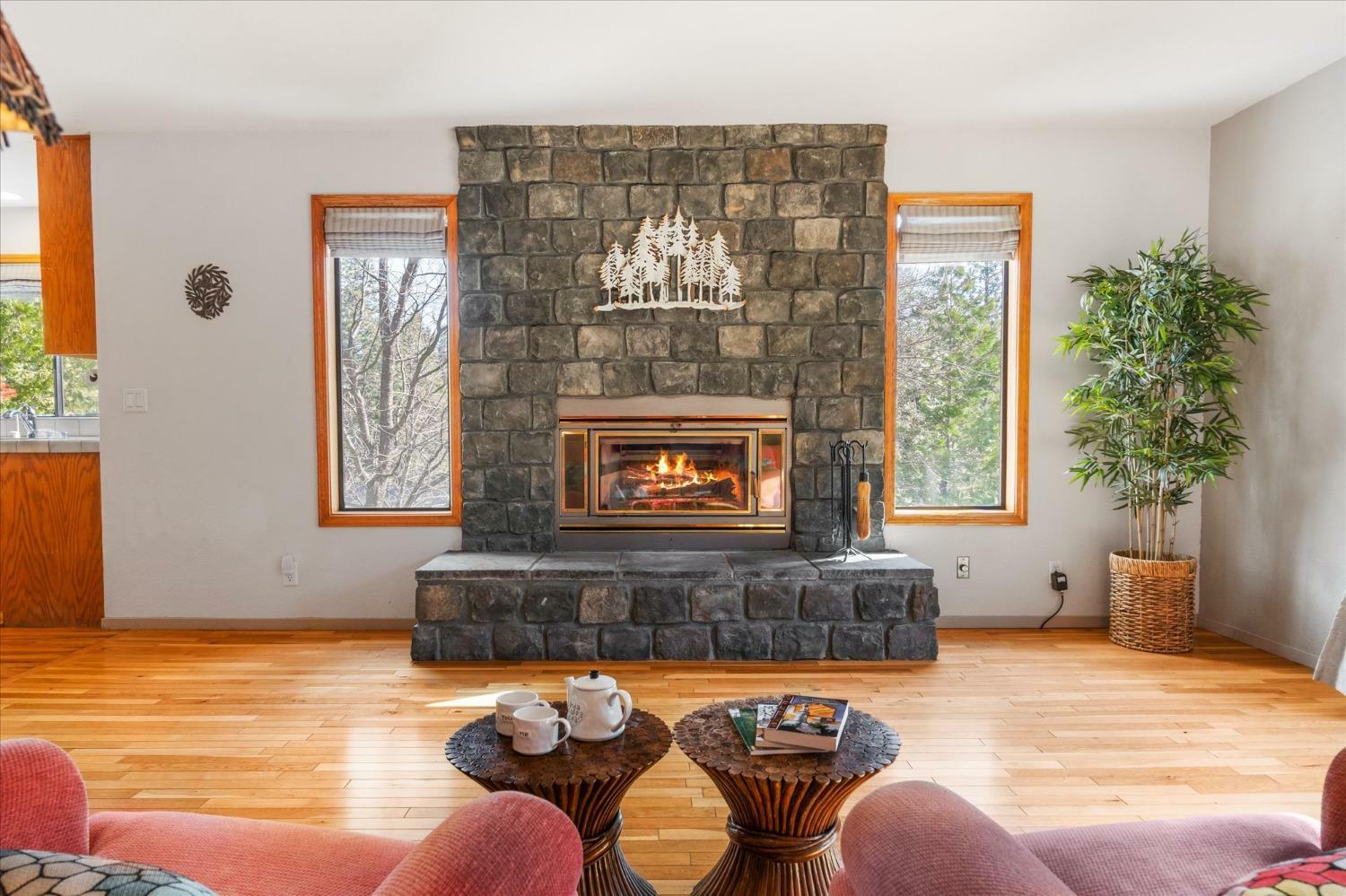 621 Forest Meadows Drive  Murphys CA 95247 photo