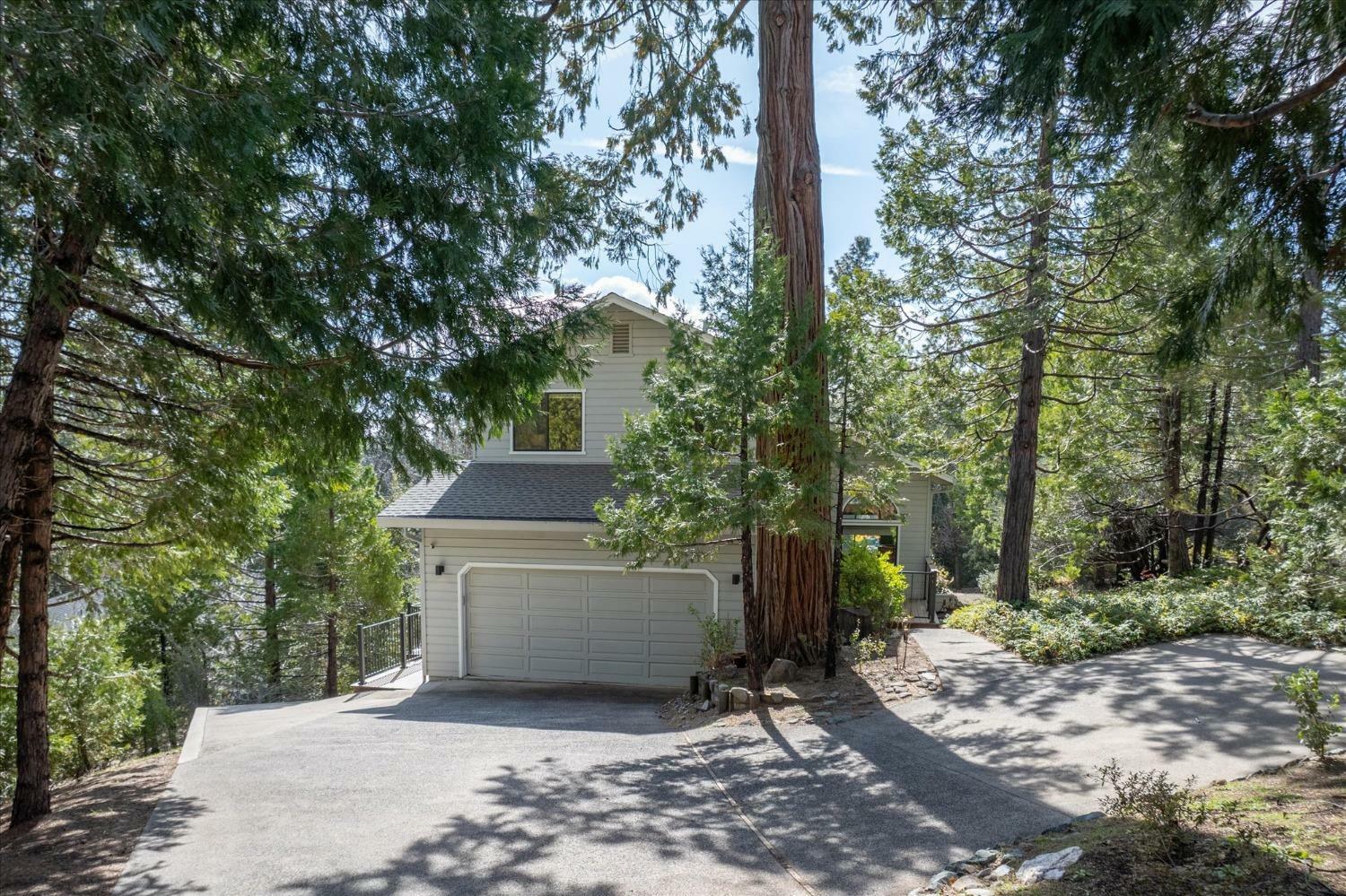 621 Forest Meadows Drive  Murphys CA 95247 photo