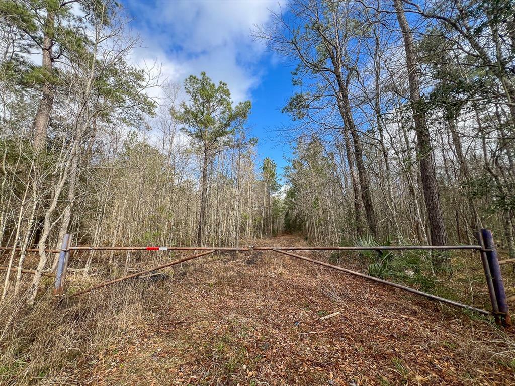 Property Photo: 0 Highway 12/ Linscomb Road TX 77662