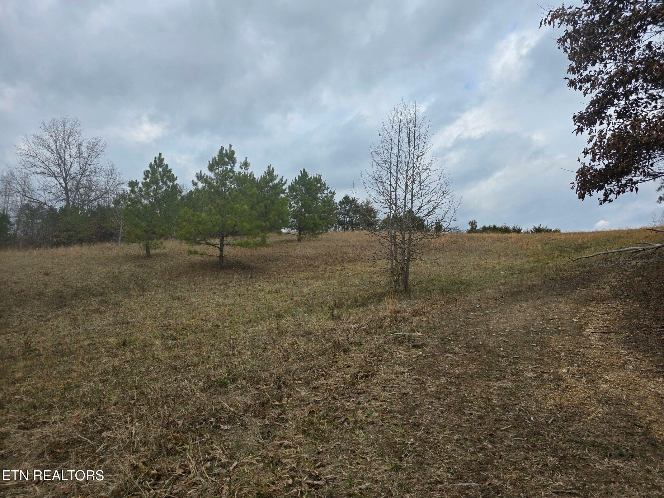 Property Photo:  16 Acres Highway 58  TN 37880 