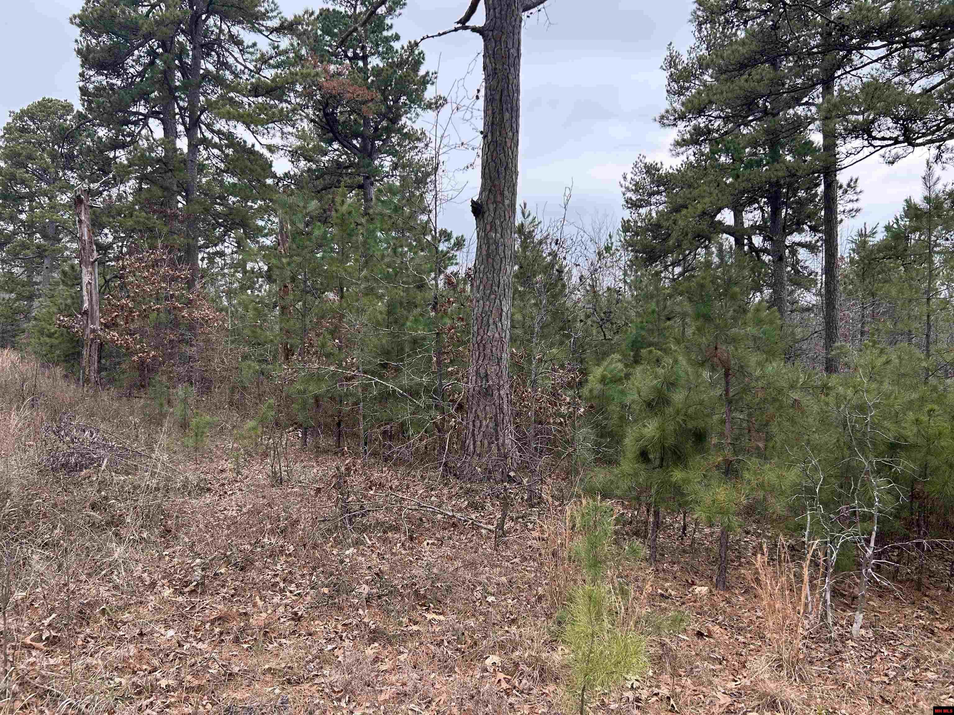 Property Photo: 001-0197-000 Turkey Springs Road AR 72639