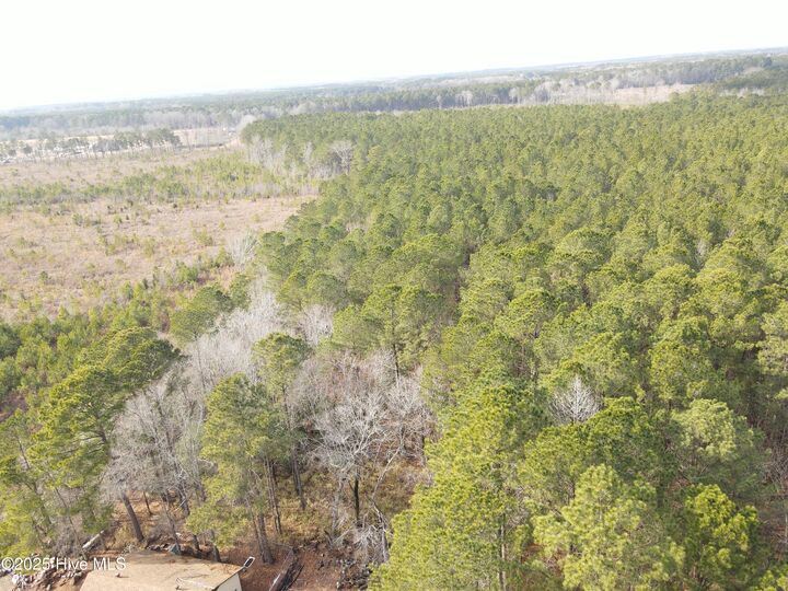 Property Photo: Tbd Highway 461 NC 27910