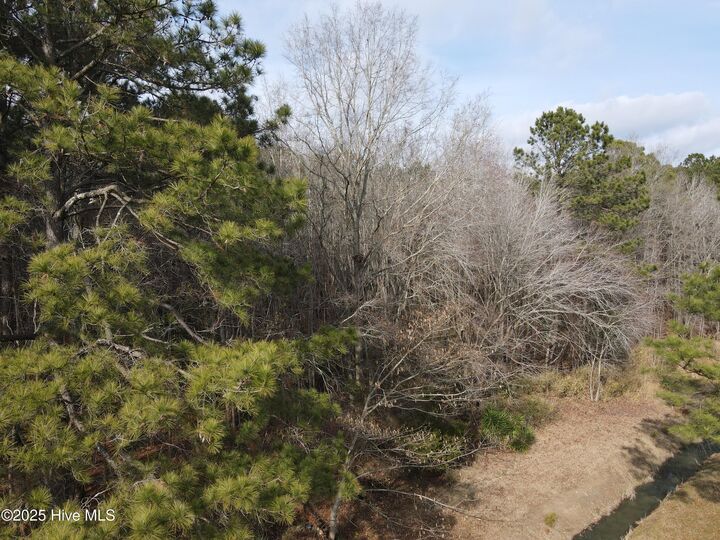 Property Photo:  Tbd Highway 461  NC 27910 