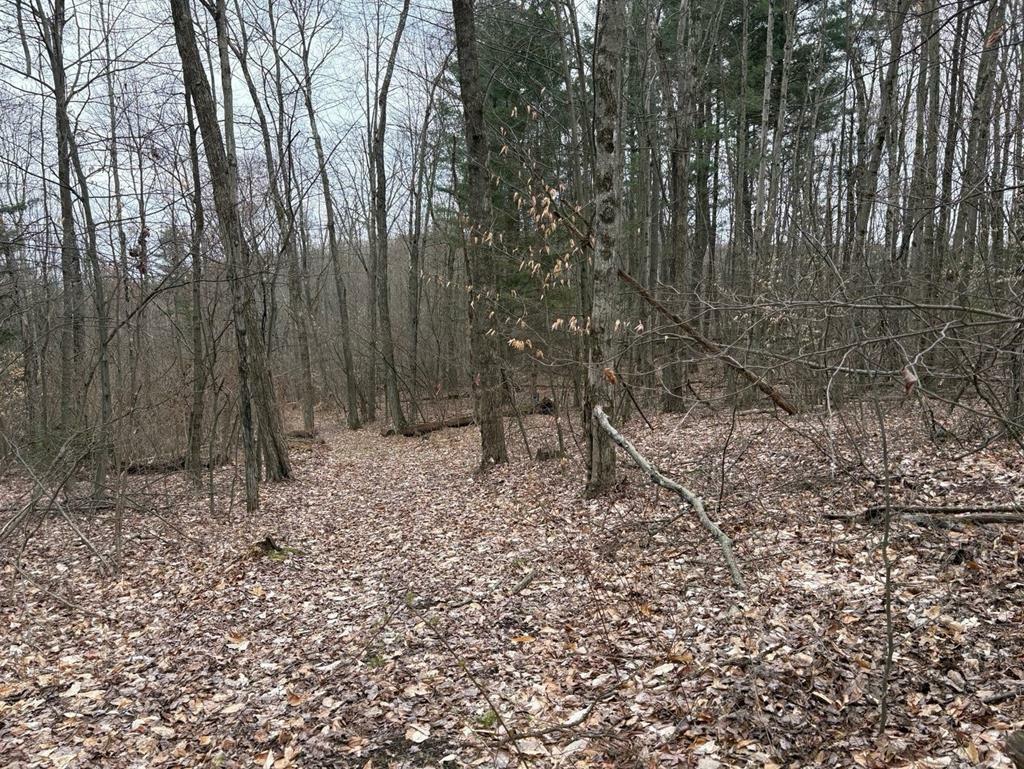 Property Photo:  0 Forest Hill  NY 13732 