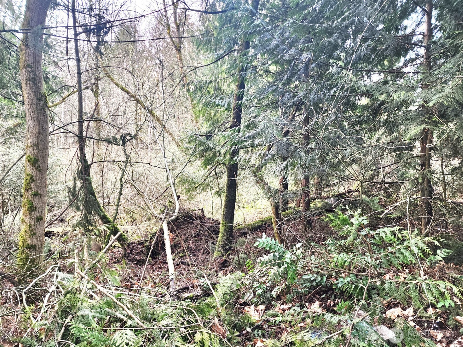 Property Photo: 17931 West Lane SE WA 98597