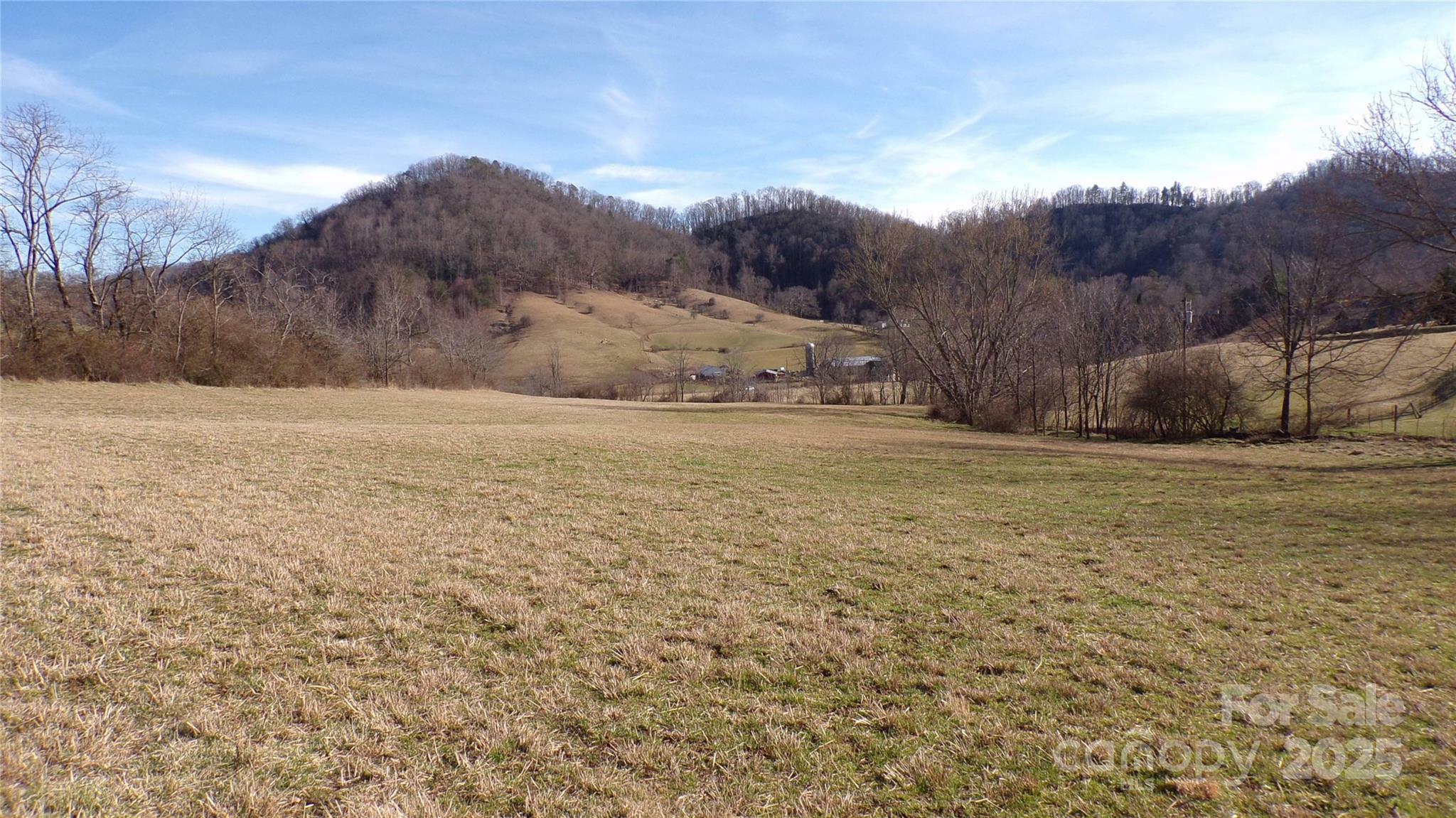 Property Photo:  99999 Green Valley Road  NC 28748 