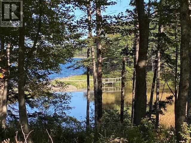 Lot 4 Macleods Pond Road — photo 1