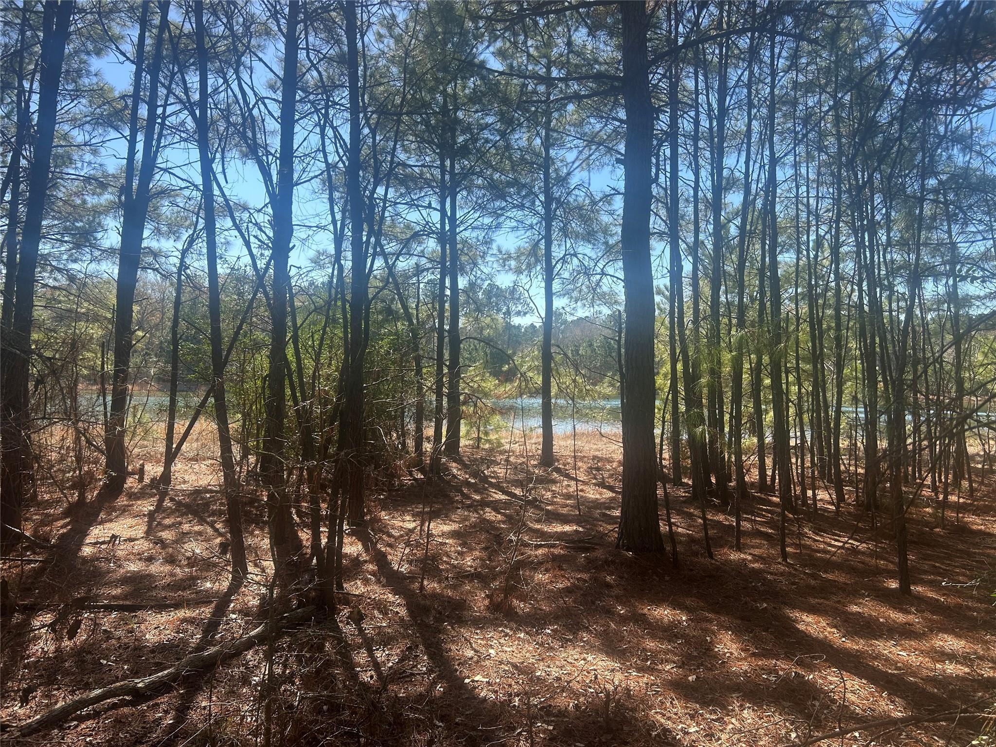 Property Photo: 17760 Saddle Horn Drive TX 77484