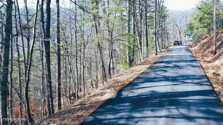 Property Photo: Overholt Trl Lot 3B TN 37862