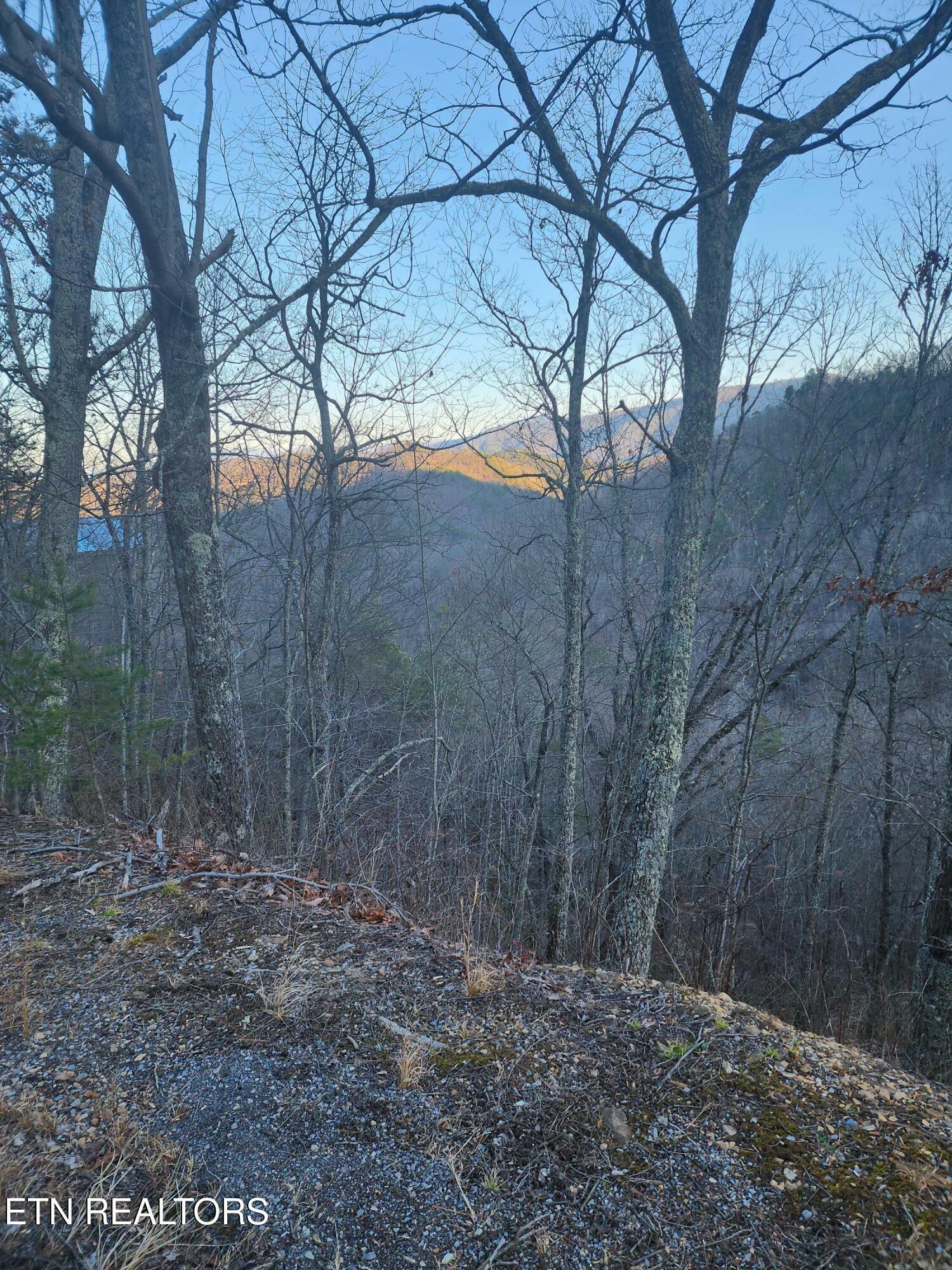 Property Photo:  Overholt Trl  TN 37862 