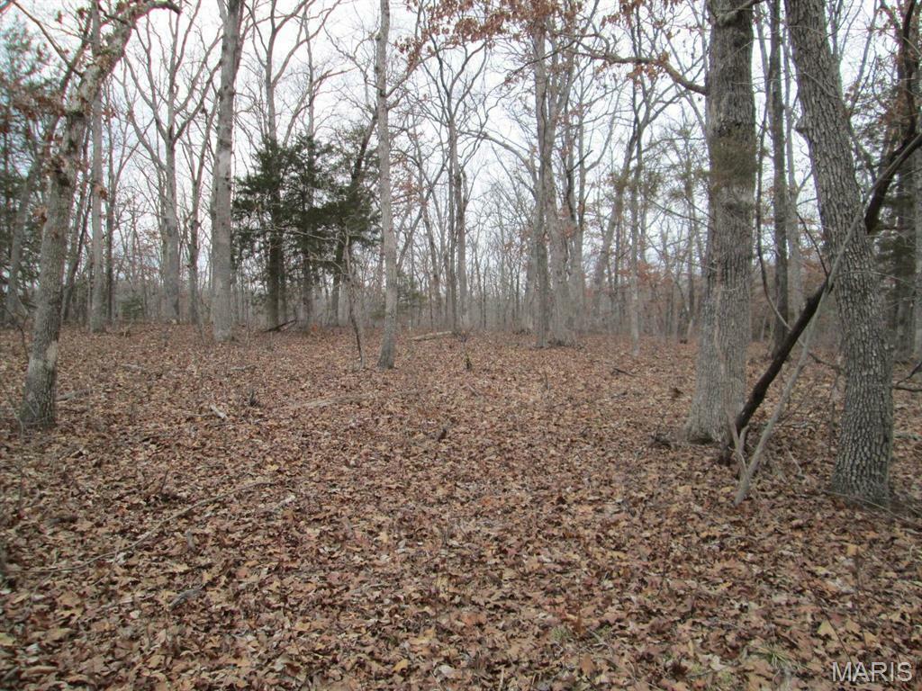 Property Photo: 0 Mo-30/Gravois Rd MO 63077