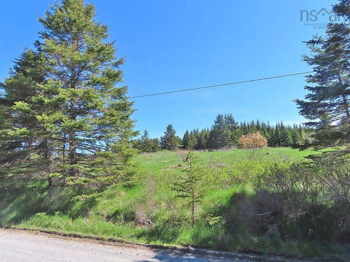 Property Photo:  Lot 4 Highway 4  NS B0E 3B0 