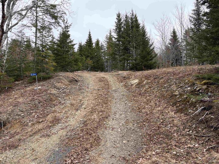 Property Photo:  Lot 22-3 226 Brookville Branch Road  NS B2H 5C7 
