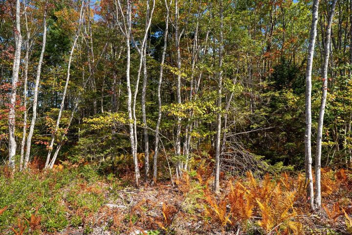 68 Morton Drive — photo 1