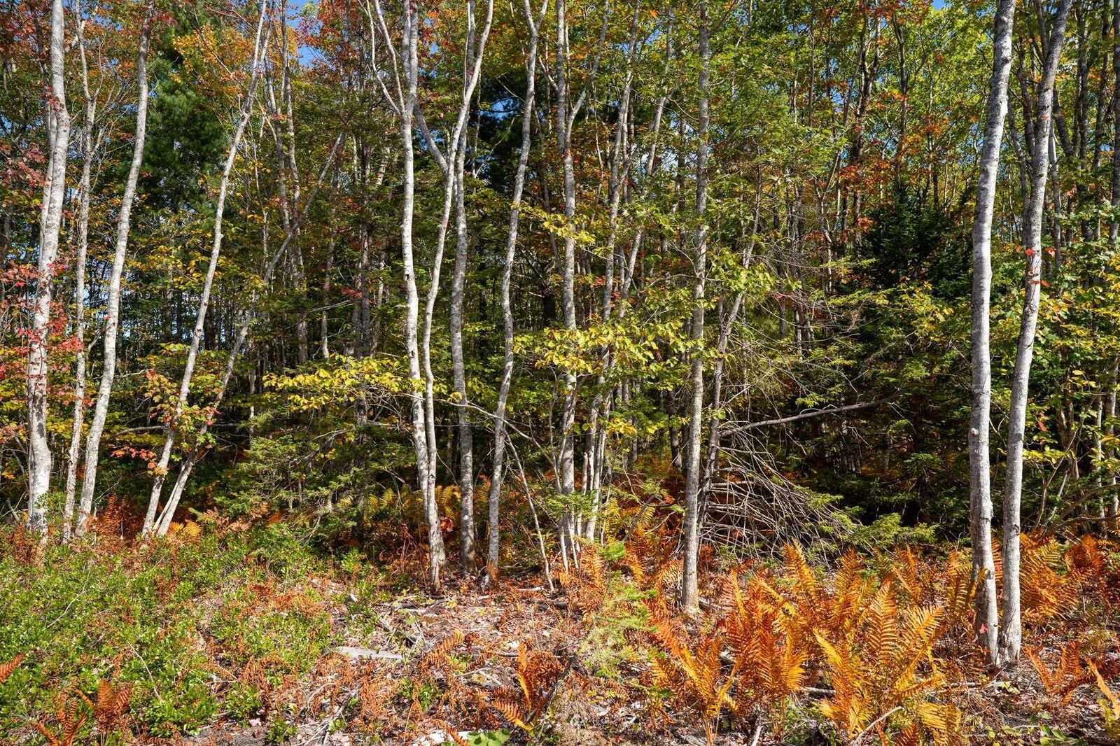Property Photo: 68 Morton Drive NS B0T 1K0
