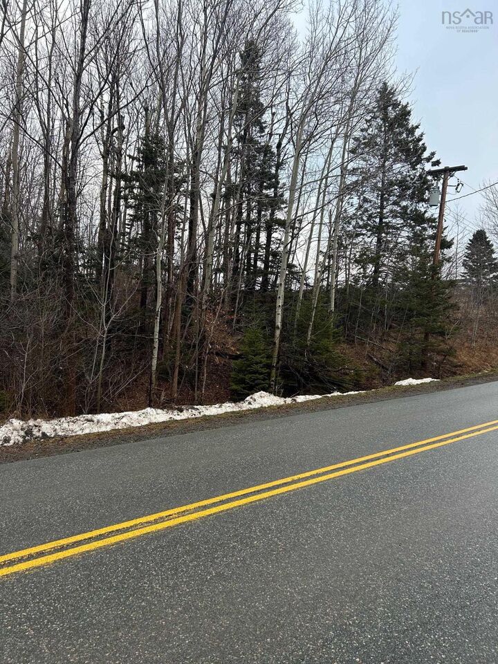 Lot Beeches Road — photo 1